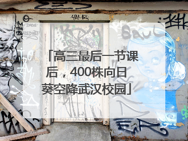 高三最后一节课后，400株向日葵空降武汉校园