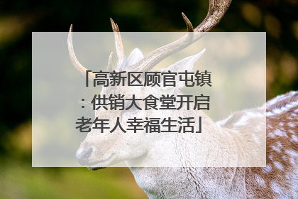 高新区顾官屯镇：供销大食堂开启老年人幸福生活