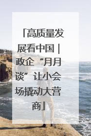 高质量发展看中国｜政企“月月谈”让小会场撬动大营商