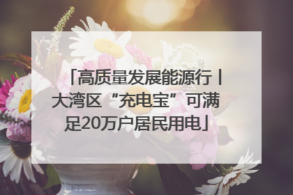 高质量发展能源行丨大湾区“充电宝”可满足20万户居民用电