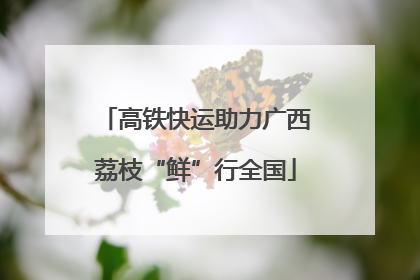 高铁快运助力广西荔枝“鲜”行全国