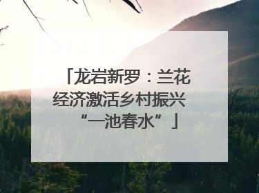 龙岩新罗：兰花经济激活乡村振兴“一池春水”