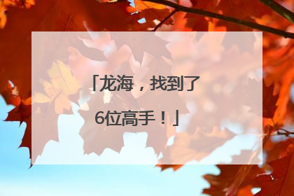 龙海，找到了6位高手！