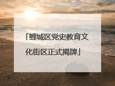 鲤城区党史教育文化街区正式揭牌