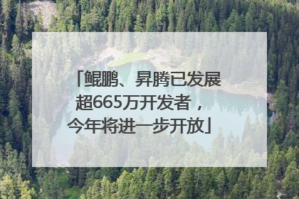 鲲鹏、昇腾已发展超665万开发者，今年将进一步开放