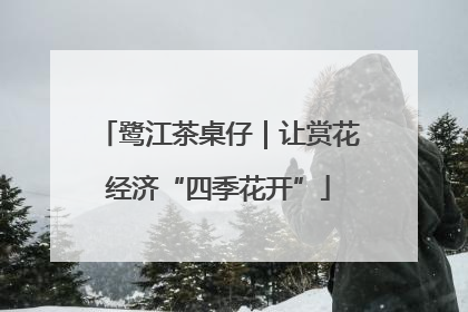 鹭江茶桌仔｜让赏花经济“四季花开”