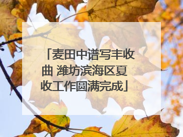 麦田中谱写丰收曲 潍坊滨海区夏收工作圆满完成