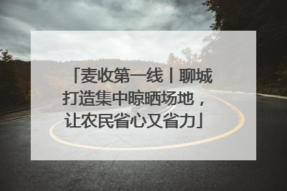 麦收第一线丨聊城打造集中晾晒场地，让农民省心又省力