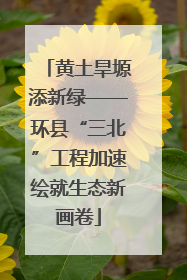 黄土旱塬添新绿——环县“三北”工程加速绘就生态新画卷