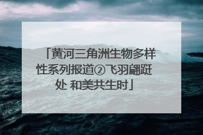 黄河三角洲生物多样性系列报道②飞羽翩跹处 和美共生时