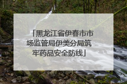 黑龙江省伊春市市场监管局伊美分局筑牢药品安全防线