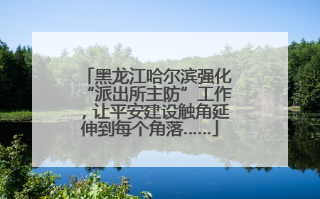 黑龙江哈尔滨强化“派出所主防”工作，让平安建设触角延伸到每个角落……