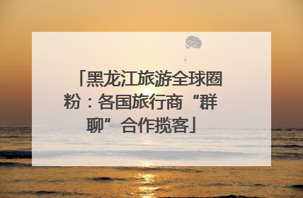 黑龙江旅游全球圈粉：各国旅行商“群聊”合作揽客
