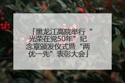 黑龙江高院举行“光荣在党50年”纪念章颁发仪式暨“两优一先”表彰大会