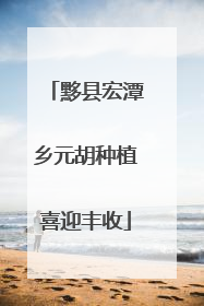 黟县宏潭乡元胡种植喜迎丰收