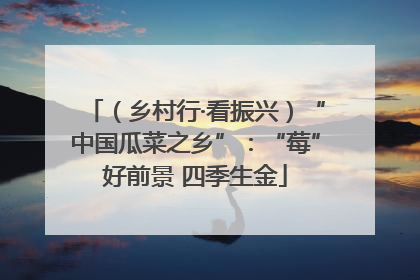 （乡村行·看振兴）“中国瓜菜之乡”：“莓”好前景 四季生金
