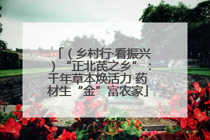 （乡村行·看振兴）“正北芪之乡”：千年草本焕活力 药材生“金”富农家