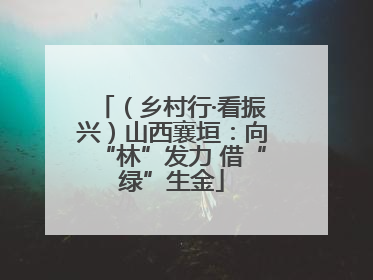 （乡村行·看振兴）山西襄垣：向“林”发力 借“绿”生金