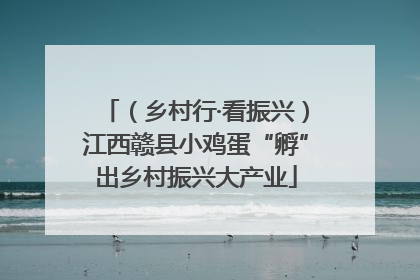 （乡村行·看振兴）江西赣县小鸡蛋“孵”出乡村振兴大产业