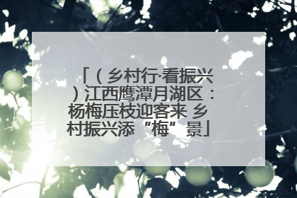 （乡村行·看振兴）江西鹰潭月湖区：杨梅压枝迎客来 乡村振兴添“梅”景