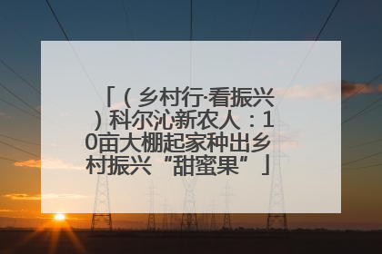 （乡村行·看振兴）科尔沁新农人：10亩大棚起家种出乡村振兴“甜蜜果”