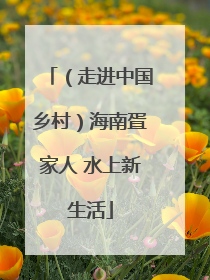 （走进中国乡村）海南疍家人 水上新生活