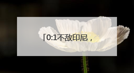 0:1不敌印尼，国足告别世预赛