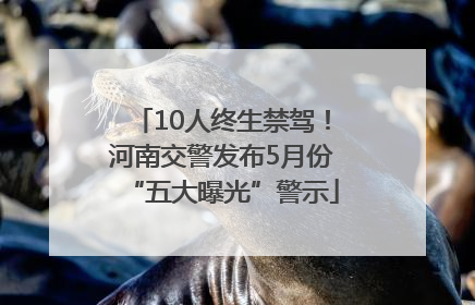 10人终生禁驾！河南交警发布5月份“五大曝光”警示