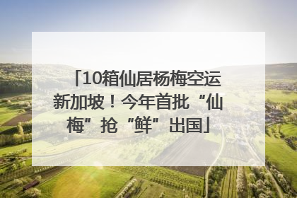 10箱仙居杨梅空运新加坡！今年首批“仙梅”抢“鲜”出国
