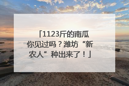 1123斤的南瓜你见过吗？潍坊“新农人”种出来了！