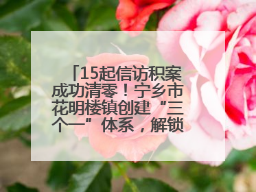 15起信访积案成功清零！宁乡市花明楼镇创建“三个一”体系，解锁基层治理新姿势