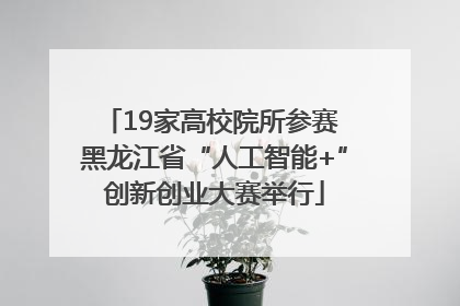 19家高校院所参赛 黑龙江省“人工智能+”创新创业大赛举行