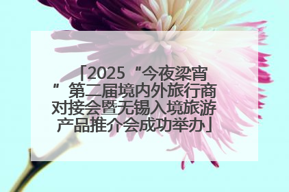 2025“今夜梁宵”第二届境内外旅行商对接会暨无锡入境旅游产品推介会成功举办