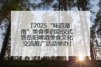 2025“味道湖南”美食季启动仪式暨岳阳啤酒美食文化交流推广活动举办