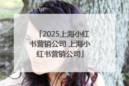 2025上海小红书营销公司 上海小红书营销公司