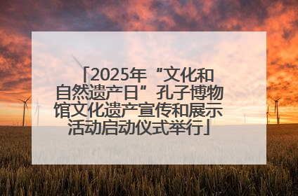 2025年“文化和自然遗产日”孔子博物馆文化遗产宣传和展示活动启动仪式举行