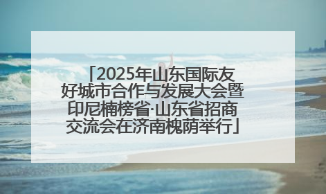 2025年山东国际友好城市合作与发展大会暨印尼楠榜省·山东省招商交流会在济南槐荫举行