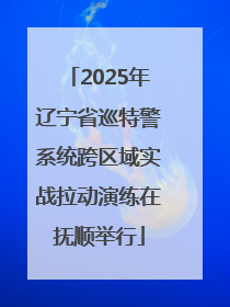 2025年辽宁省巡特警系统跨区域实战拉动演练在抚顺举行