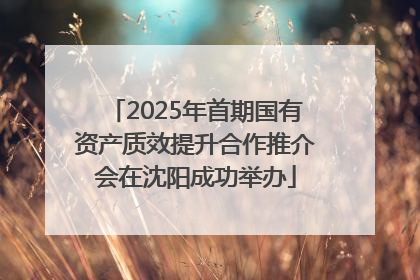 2025年首期国有资产质效提升合作推介会在沈阳成功举办