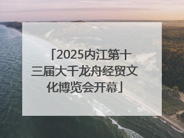2025内江第十三届大千龙舟经贸文化博览会开幕