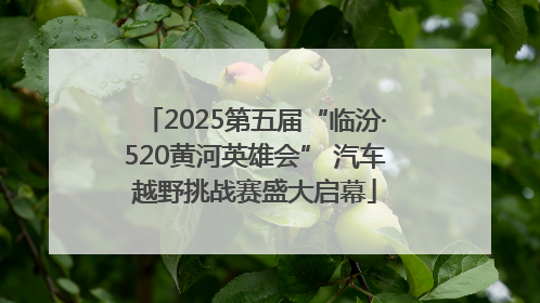 2025第五届“临汾·520黄河英雄会” 汽车越野挑战赛盛大启幕