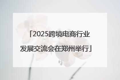 2025跨境电商行业发展交流会在郑州举行