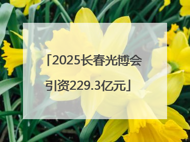 2025长春光博会引资229.3亿元