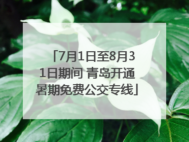 7月1日至8月31日期间 青岛开通暑期免费公交专线