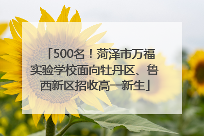500名！菏泽市万福实验学校面向牡丹区、鲁西新区招收高一新生