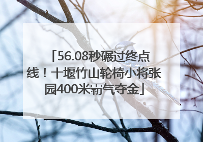 56.08秒碾过终点线！十堰竹山轮椅小将张园400米霸气夺金