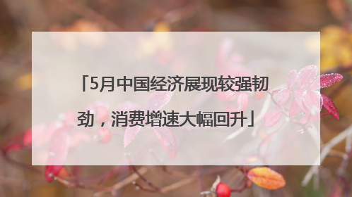 5月中国经济展现较强韧劲，消费增速大幅回升