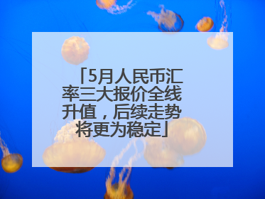 5月人民币汇率三大报价全线升值，后续走势将更为稳定
