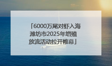6000万尾对虾入海 潍坊市2025年增殖放流活动拉开帷幕