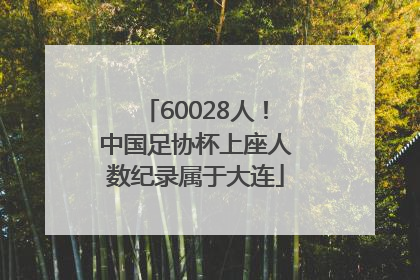 60028人！中国足协杯上座人数纪录属于大连